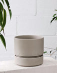 Cora Planter by The Plant Society コラプランター