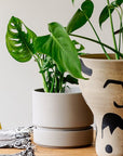 Cora Planter by The Plant Society コラプランター