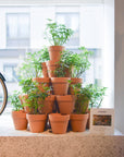Everyday Terracotta Planter テラコッタプランター