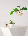 Dots Decorative Hanging Planter by Angus & Celeste ハンギングプランター ドット