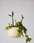 Speckled Clay Glazed Earth Hanging Planter by Angus & Celeste ハンギングプランター スペックルクレイ