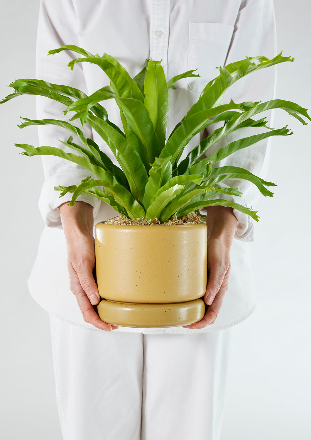 Soft Cylinder Planters by Angus & Celeste ソフトシリンダー