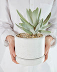 Soft Cylinder Planters by Angus & Celeste ソフトシリンダープランター