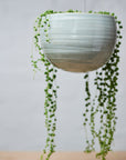 Grey Crackle Spherical Hanging Planter by Angus & Celeste ハンギングプランター グレークラックル