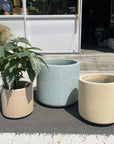 Windsor Planter ウィンドソープランター