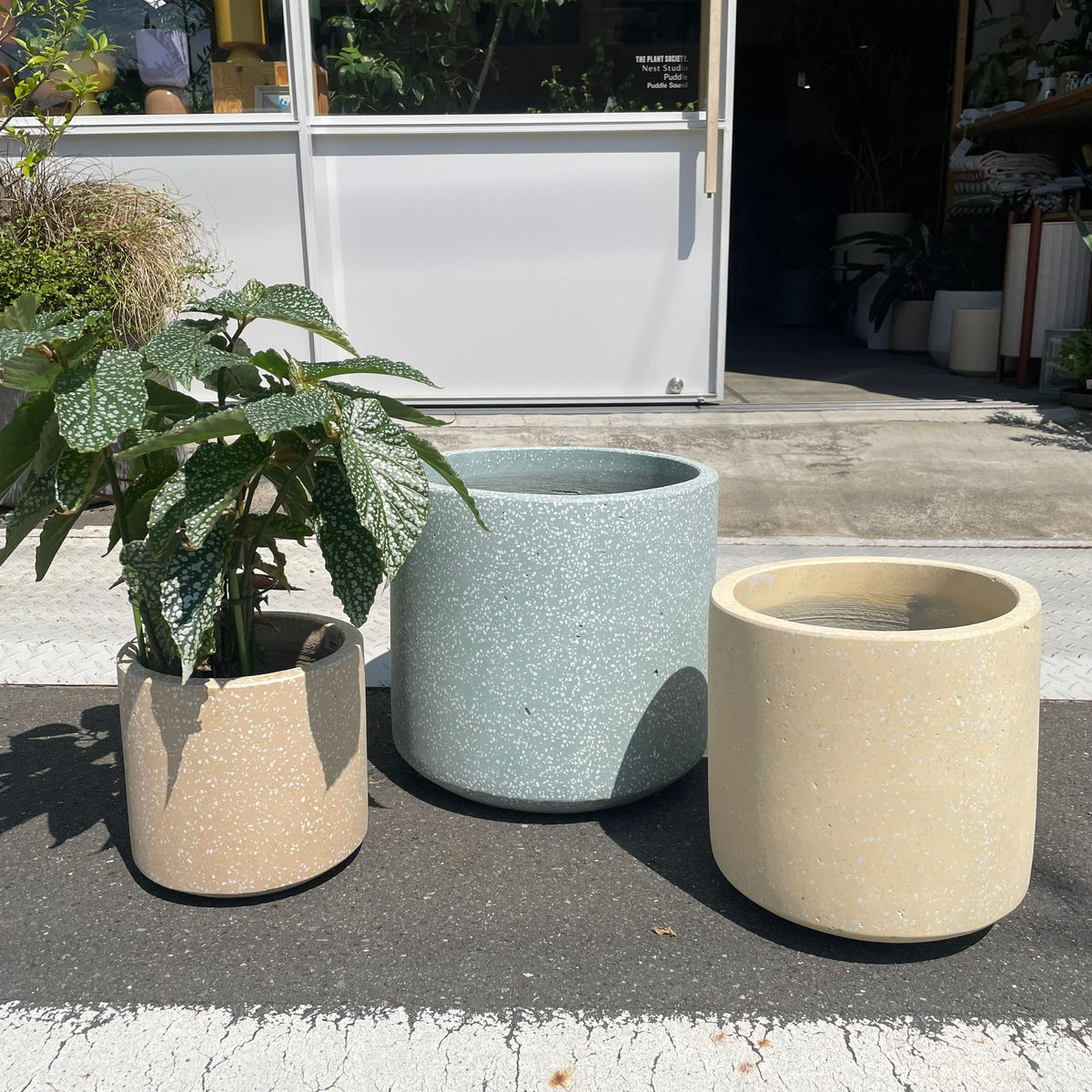 Windsor Planter ウィンドソープランター I 植木鉢 I プラント