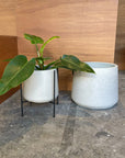 U-Planter Wide ユープランター ワイド
