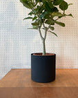 Metal Cylinder Planter Cover メタルシリンダープランターカバー