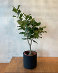 Metal Cylinder Planter Cover メタルシリンダープランターカバー