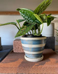 Stoney Cobalt blue & Shino Planter by Sandra Bowkett ストーニーコバルトブルー&シノ プランター