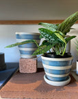 Stoney Cobalt blue & Shino Planter by Sandra Bowkett ストーニーコバルトブルー&シノ プランター