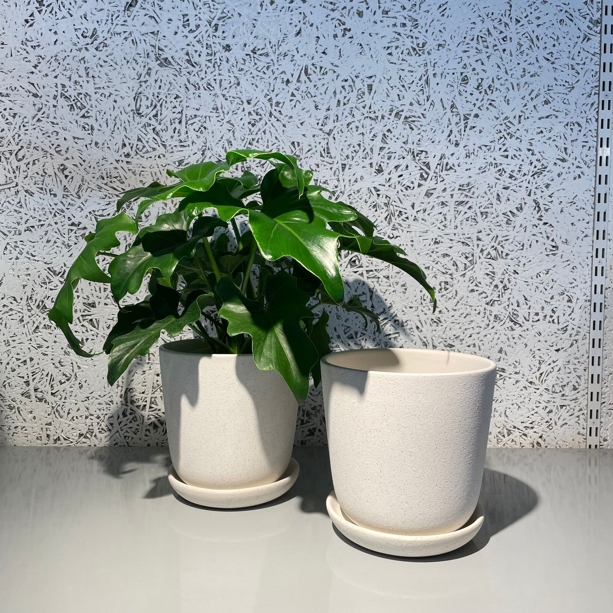 Brunswick Planter  ブランズウィックプランター