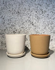 Brunswick Planter  ブランズウィックプランター