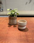 Stoneware Curve Cup in Stone by Kristin Olds ストーンウェア カーブカップ