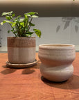 Stoneware Curve Cup in Stone by Kristin Olds ストーンウェア カーブカップ