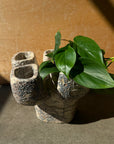 Mini Quad on Plinth Planter by Buzzby & Fang ミニクアッドオンプリンスプランター