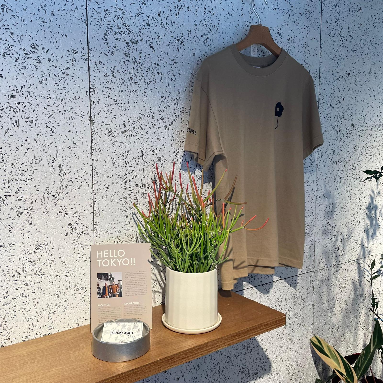 Euphorbia Tirucalli ‘Sticks on Fire’ ユーフォルビア ミルクブッシュ 'スティック オン ファイヤー'