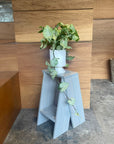 Syngonium podophyllum ・ Confettimilk シンゴニウム・コンフェッティミルク