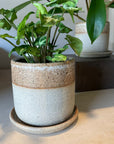 Speckle White Dip Planter by Arcadia Scott スペックル ホワイトディッププランター
