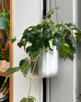 Asta Hanging Planter アスタハンギング