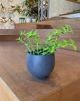 Round Planter ラウンドプランター