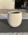 Eggshell Planter エッグシェルプランター