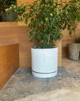 Speckle Planter with saucer スペックルプランター ソーサー付