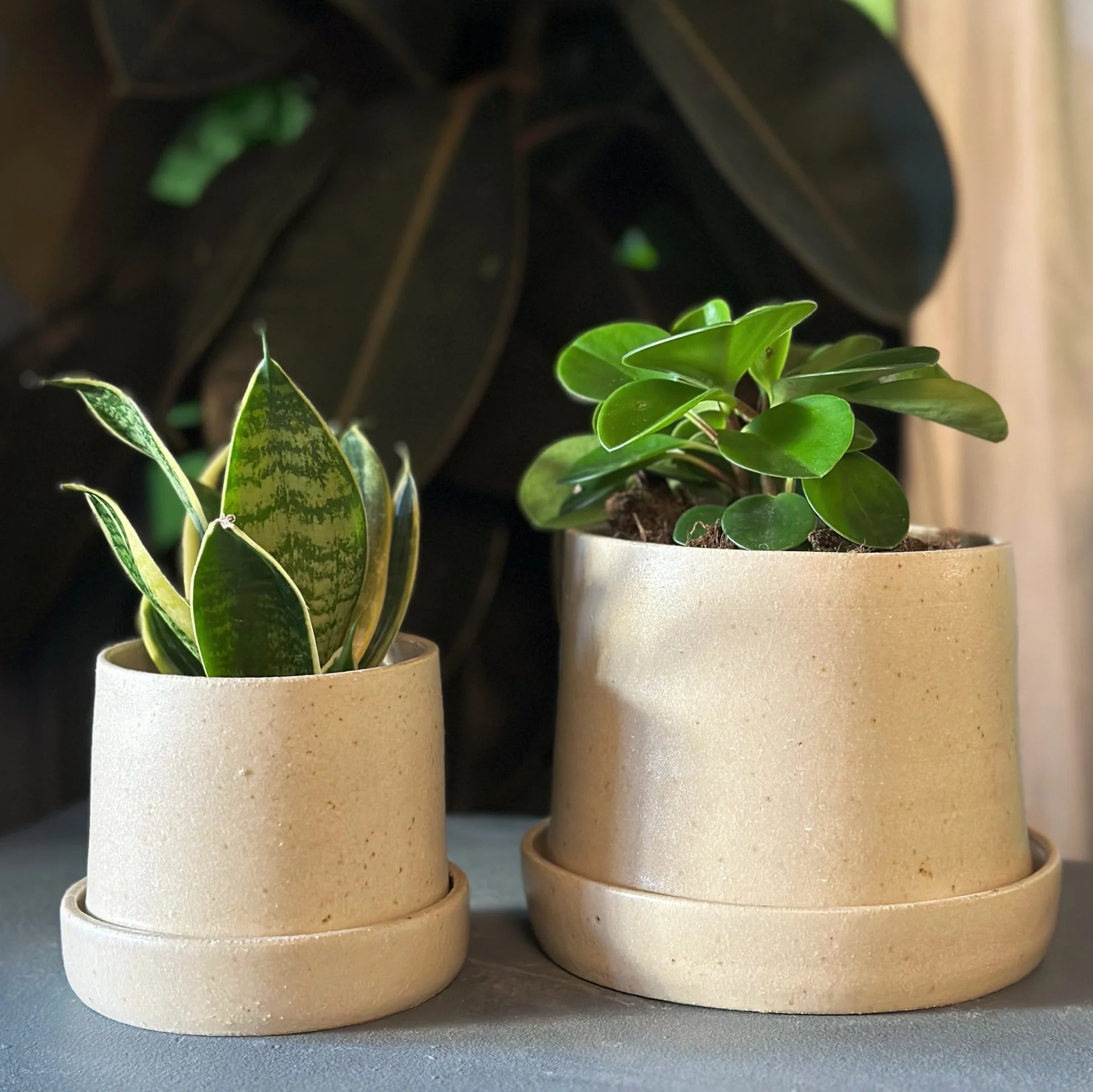 Stoneware Planter in Stone by Kristin Olds ストーンウェア
