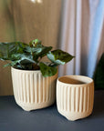 Footed Planter by Arcadia Scott フーテッドプランター