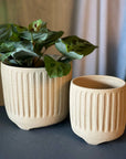 Footed Planter by Arcadia Scott フーテッドプランター