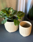 Footed Planter by Arcadia Scott フーテッドプランター