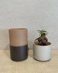 Bowl in Gloss Gray by Hasami Porcelain ボウル グロスグレイ