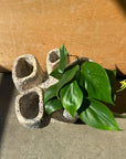 Mini Quad on Plinth Planter by Buzzby & Fang ミニクアッドオンプリンスプランター