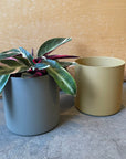 Asta Cylinder Planter アスタ シリンダープランター