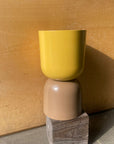 Two Tone Planter by Lightly ツートーン プランター