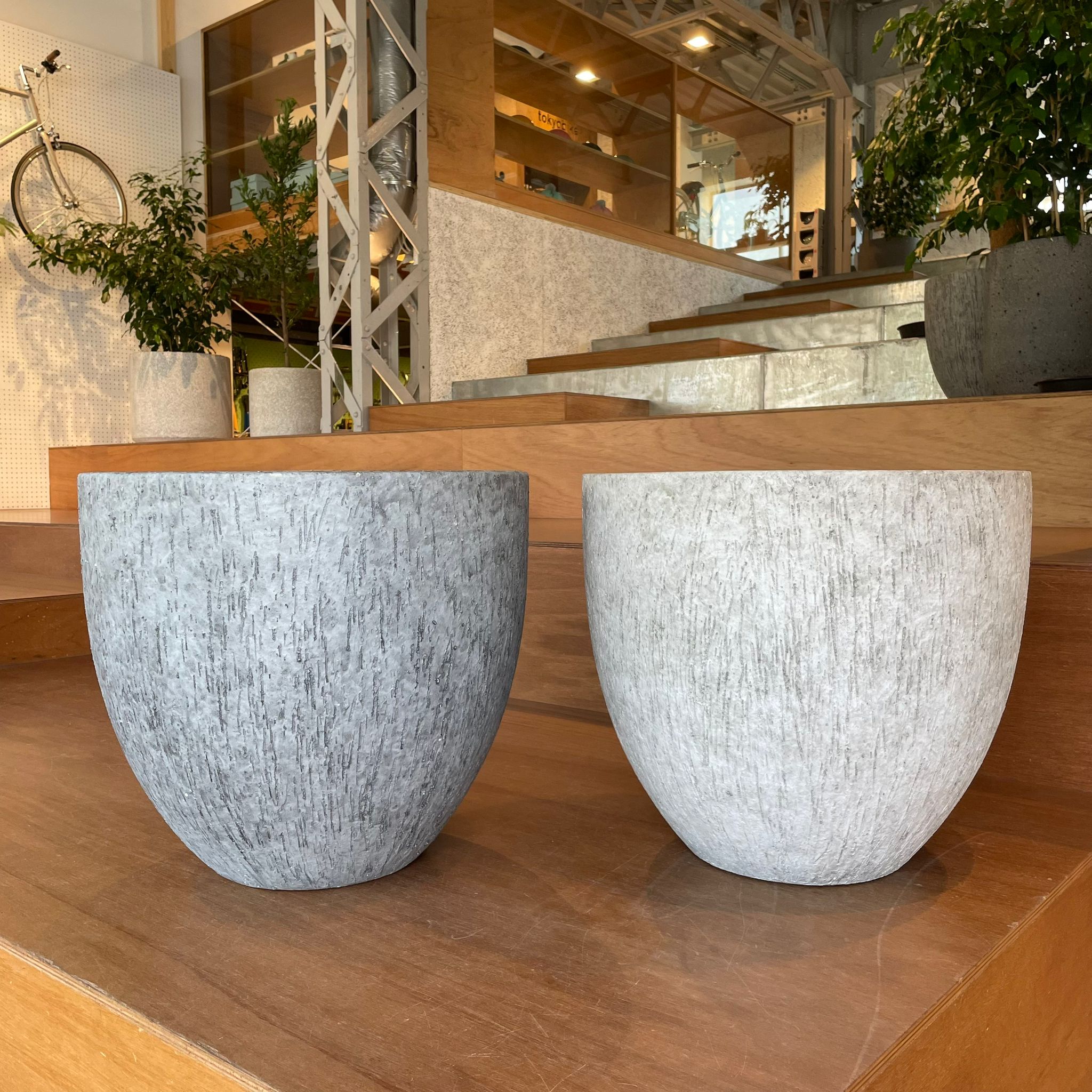 ペドラプランター I 大きな植木鉢 I プラントソサエティトーキョー