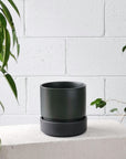 Cora Planter by The Plant Society コラプランター