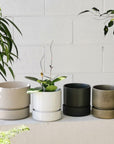 Cora Planter by The Plant Society コラプランター