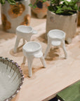 Leggy Egg Holder by Bridget Bodenham エッグホルダー