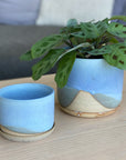 Blue Frost by Leaf & Thread ブルーフォレスト プランター