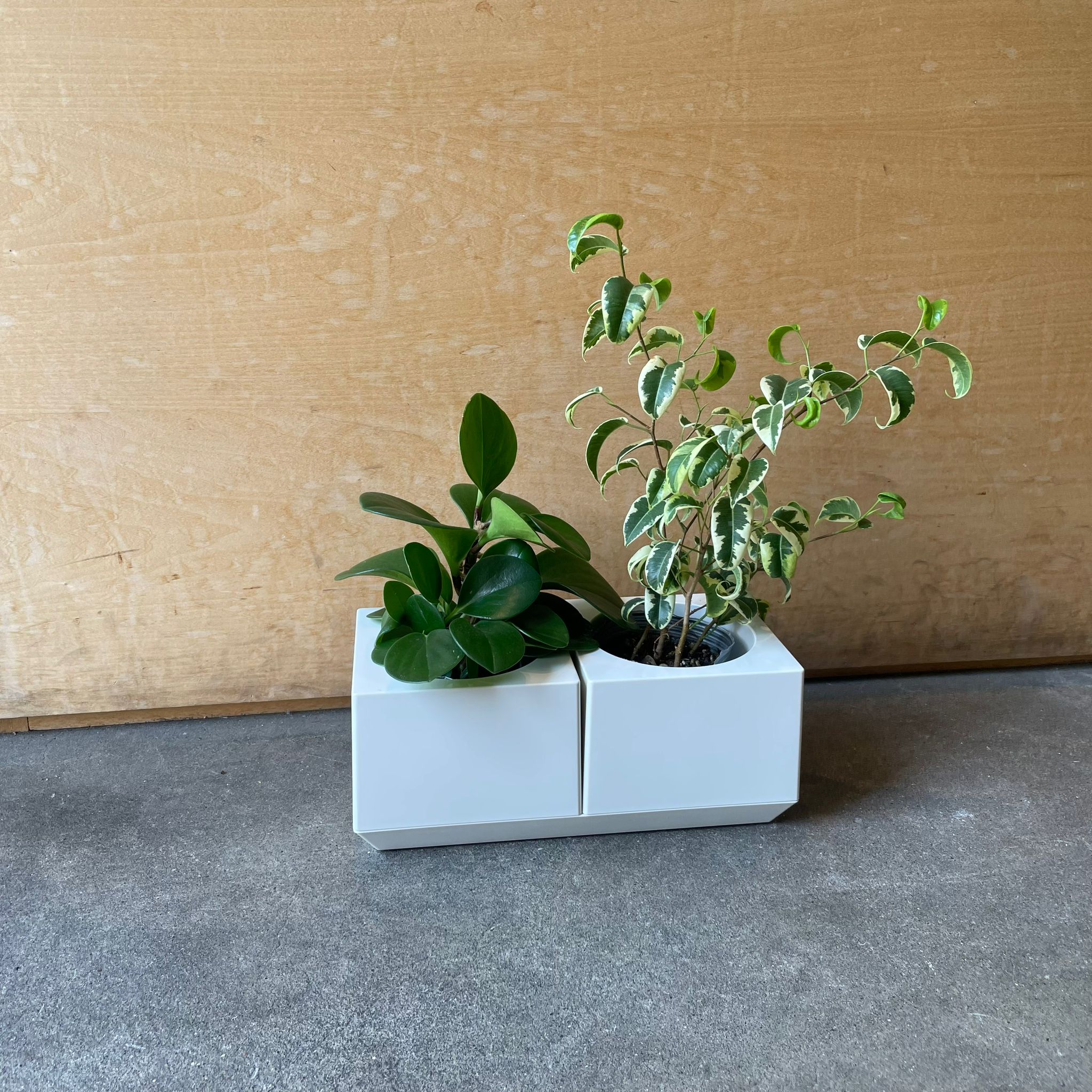 PAIR CUBIC by Masanori Umeda／Marutomi ペアキュービック プランター