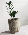 Tall Tripod Planter by Buzzby & Fang トール トライポッドプランター