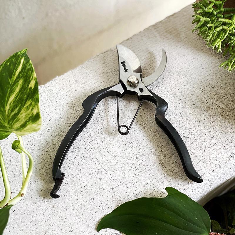 The Plant Society x Toyama Hamono 剪定鋏 I 園芸用品 ハサミ I The Plant Society x Toyama Hamono 剪定鋏 I 園芸用品 ハサミ I