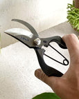 The Plant Society x Toyama Hamono Secateurs オリジナル 剪定鋏