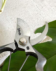The Plant Society x Toyama Hamono Secateurs オリジナル 剪定鋏