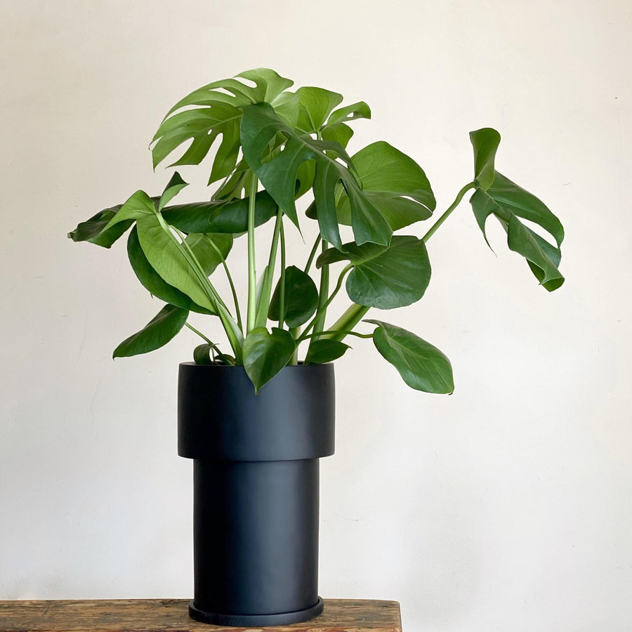 ミディ トールタワープランター by The Plant Society x Capra Designs- Totem Collection -