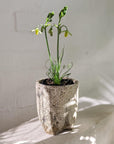Tall Tripod Planter by Buzzby & Fang トール トライポッドプランター