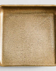 Vide Pouche Bronze by Henry Wilson - THE PLANT SOCIETY ONLINE OUTPOST