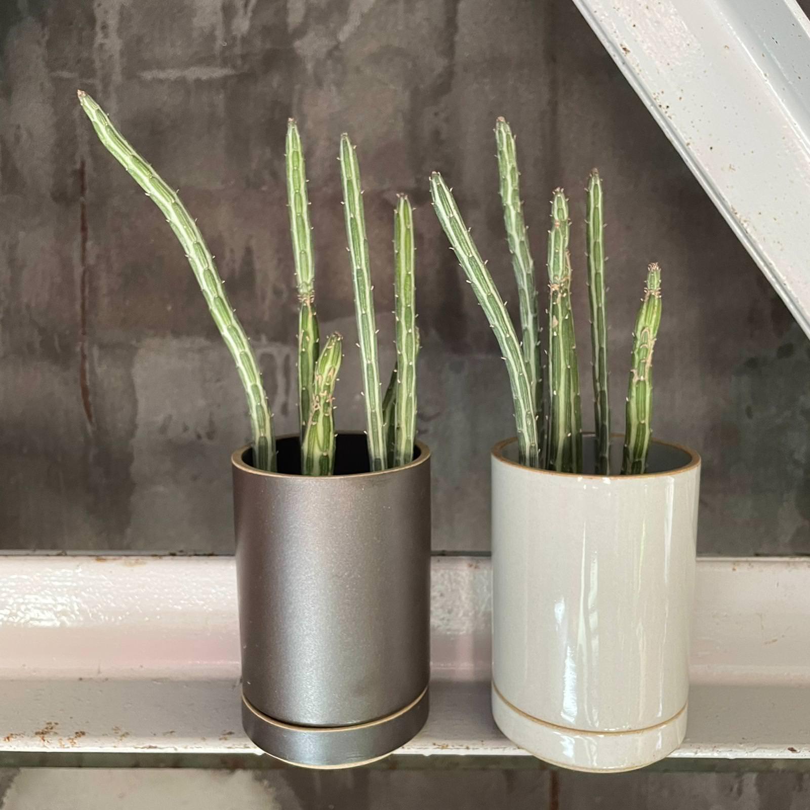 Planter in Black by Hasami Porcelain プランター ブラック ハサミ