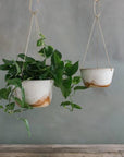 Glacier Hanging Planter by Leaf & Thread グラシア ハンギング プランター